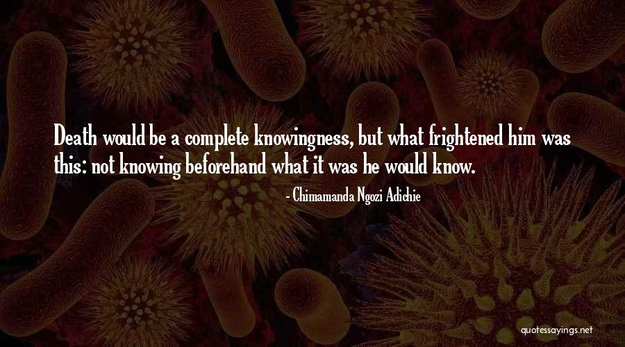 Danine Barelli Quotes By Chimamanda Ngozi Adichie Danine Barelli Quotes By Chimamanda Ngozi Adichie