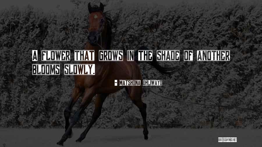 Danish Culture Quotes By Matshona Dhliwayo Danish Culture Quotes By Matshona Dhliwayo