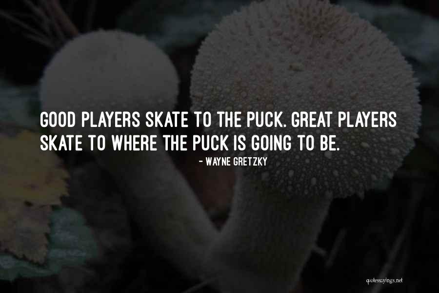 Danish Writer Quotes By Wayne Gretzky Danish Writer Quotes By Wayne Gretzky