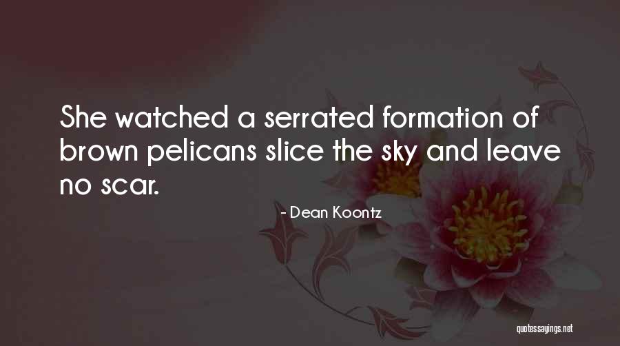 Danismiles Quotes By Dean Koontz Danismiles Quotes By Dean Koontz
