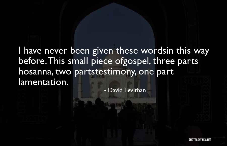 Daniyal Zafar Quotes By David Levithan Daniyal Zafar Quotes By David Levithan