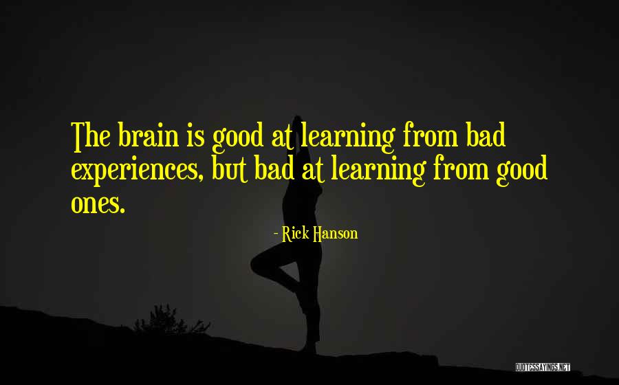 Danjunecomm Quotes By Rick Hanson Danjunecomm Quotes By Rick Hanson
