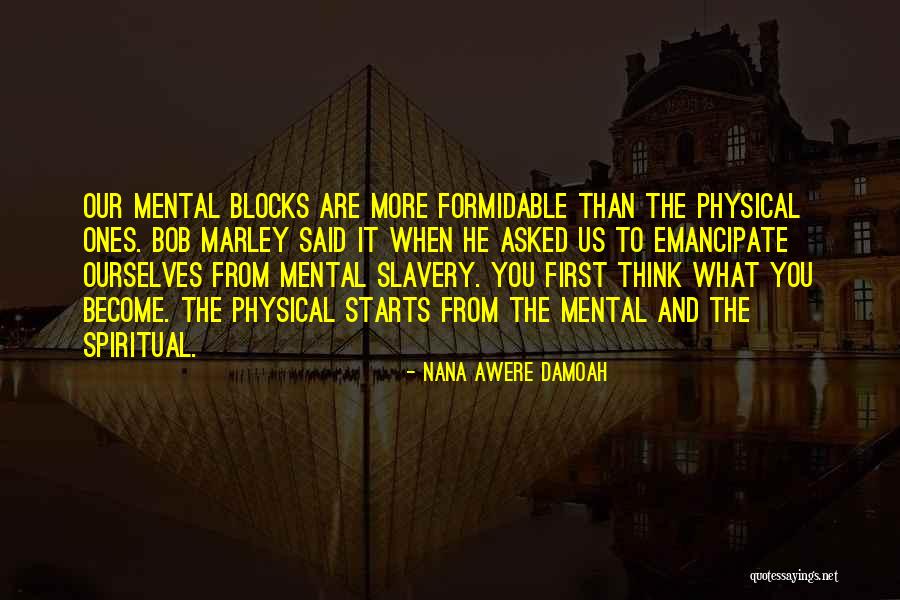 Dankert Plumbing Quotes By Nana Awere Damoah