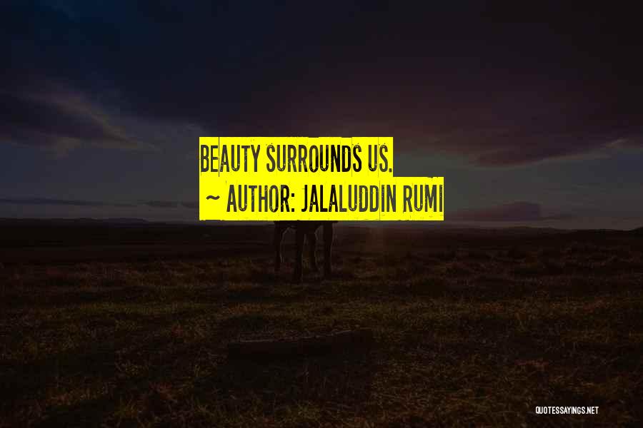 Danninger Medical Quotes By Jalaluddin Rumi
