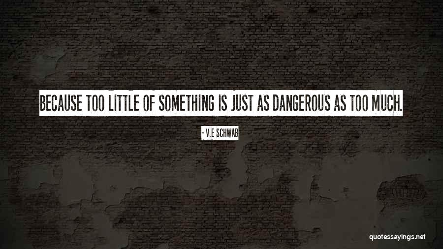 Dannunzio Bakery Quotes By V.E Schwab Dannunzio Bakery Quotes By V.E Schwab