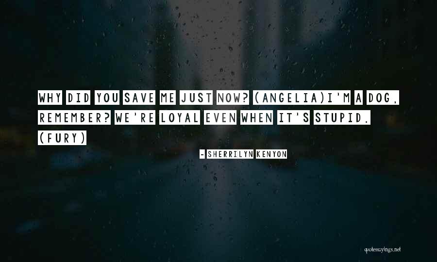 Danny Duberstein Quotes By Sherrilyn Kenyon Danny Duberstein Quotes By Sherrilyn Kenyon
