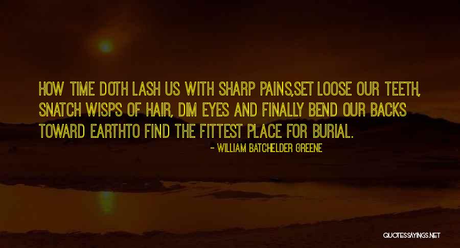 Danny Gallivan Quotes By William Batchelder Greene Danny Gallivan Quotes By William Batchelder Greene