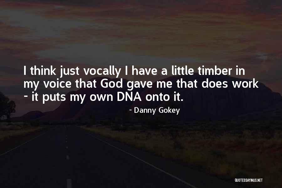 Danny Gokey Quotes 1463601