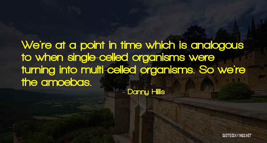 Danny Hillis Quotes 1307491