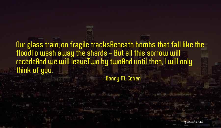 Danny M. Cohen Quotes 1305116