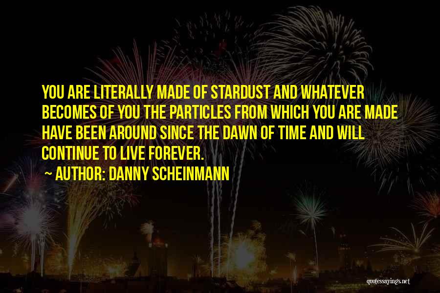 Danny Scheinmann Quotes 1663930