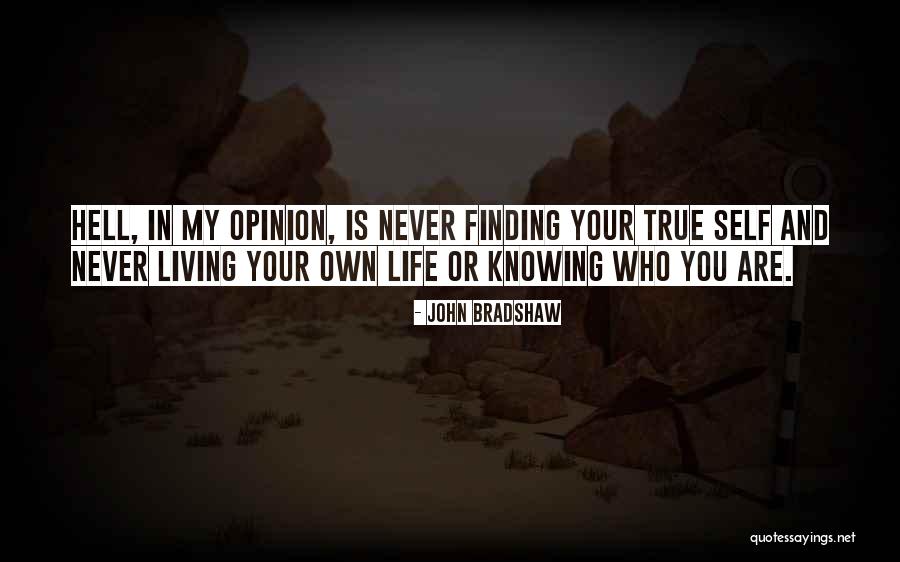 Danosa Quotes By John Bradshaw Danosa Quotes By John Bradshaw