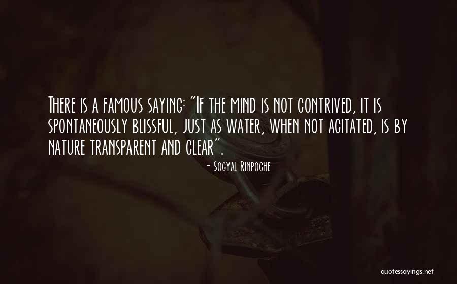 Danosonseneca Quotes By Sogyal Rinpoche Danosonseneca Quotes By Sogyal Rinpoche