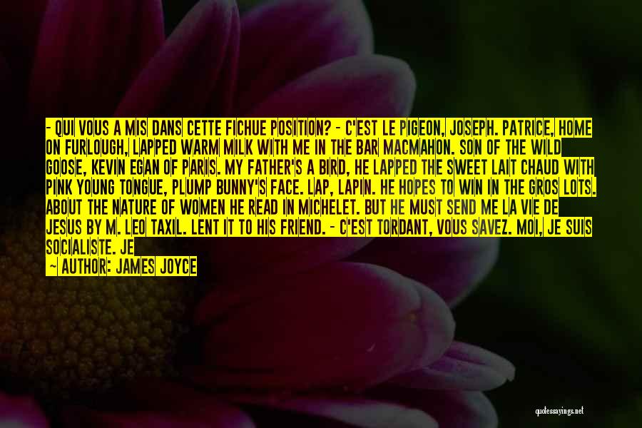 Dans La Vie Quotes By James Joyce