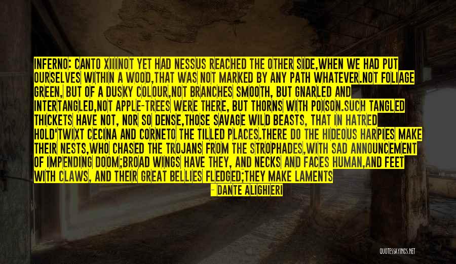 Dante S Inferno Quotes By Dante Alighieri Dante S Inferno Quotes By Dante Alighieri