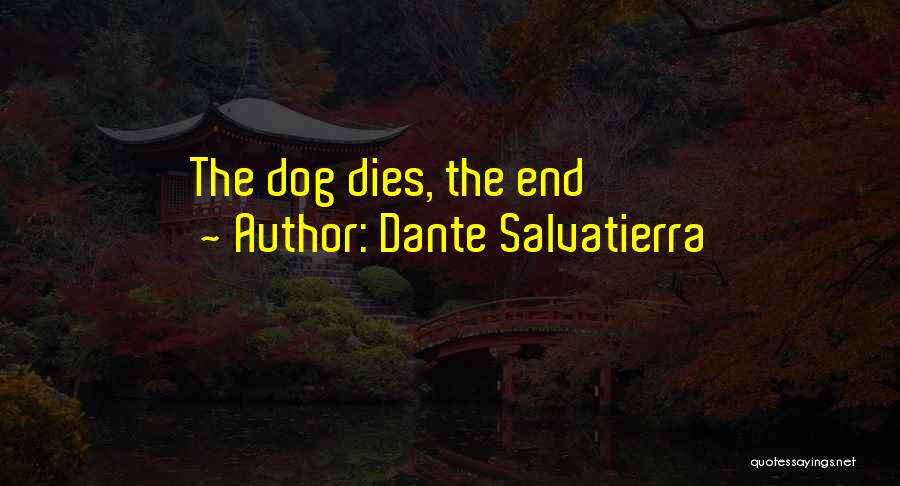 Dante Salvatierra Quotes 1608094