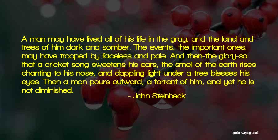 Danveer Karna Quotes By John Steinbeck