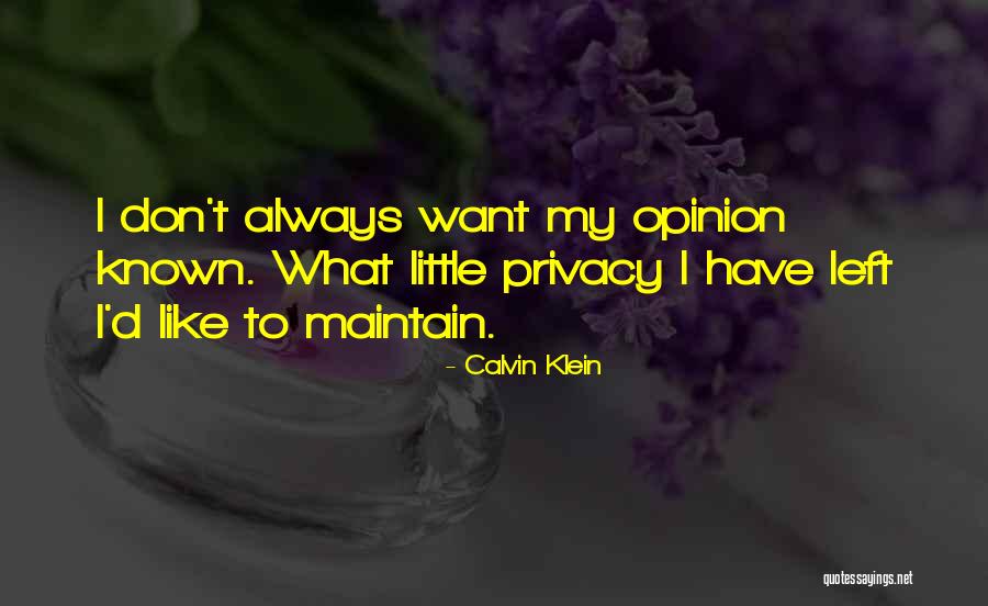 Danya Perry Quotes By Calvin Klein Danya Perry Quotes By Calvin Klein