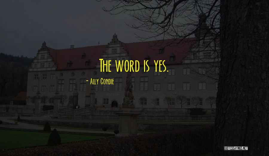 Danzan Ryu Quotes By Ally Condie