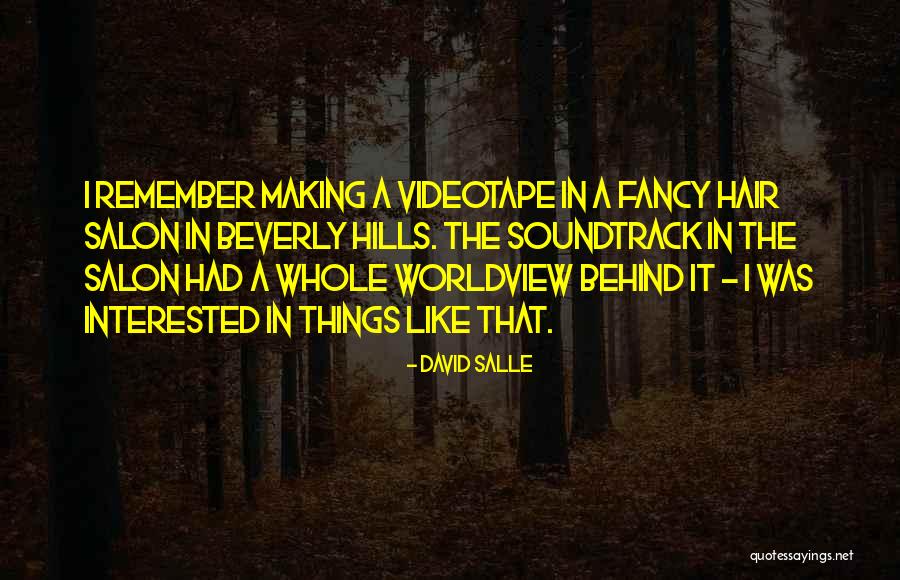 Danzar Zumba Quotes By David Salle Danzar Zumba Quotes By David Salle