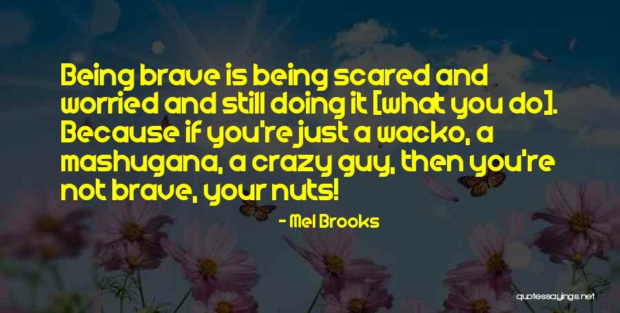 Danzas Mexicanas Quotes By Mel Brooks Danzas Mexicanas Quotes By Mel Brooks