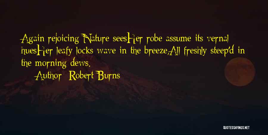 Daoming Si Quotes By Robert Burns
