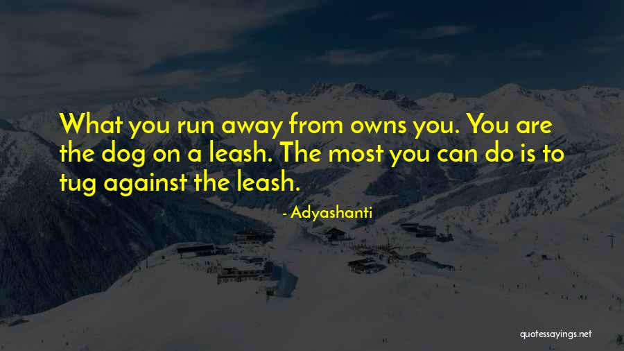 Daos Tallahassee Quotes By Adyashanti Daos Tallahassee Quotes By Adyashanti
