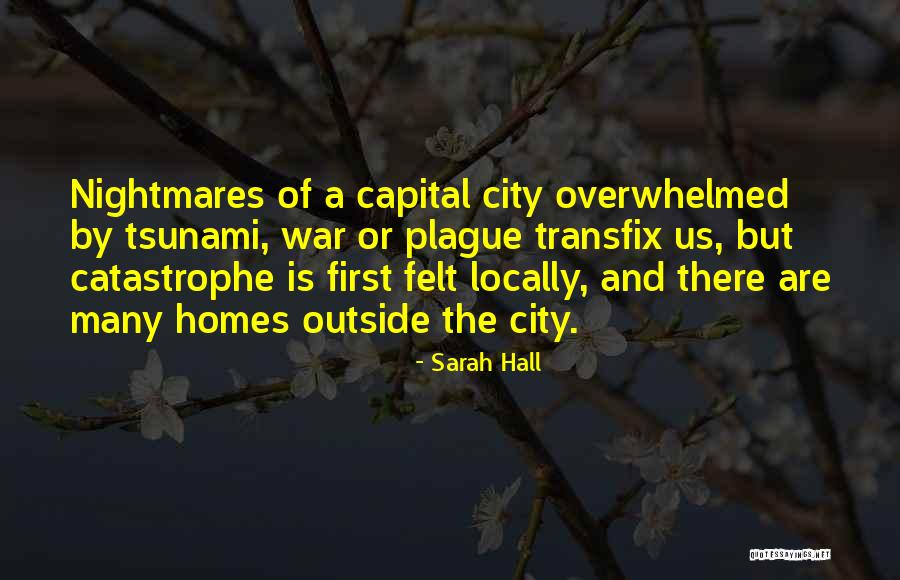 Daouds Fine Quotes By Sarah Hall Daouds Fine Quotes By Sarah Hall