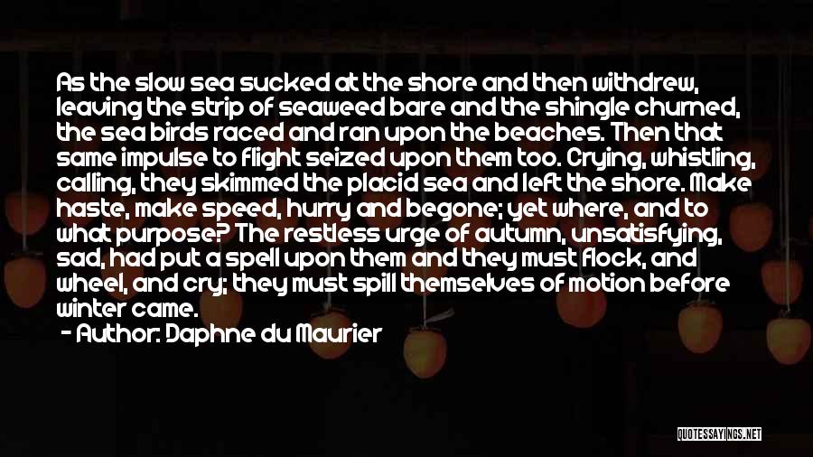 Daphne Du Maurier Quotes 488264