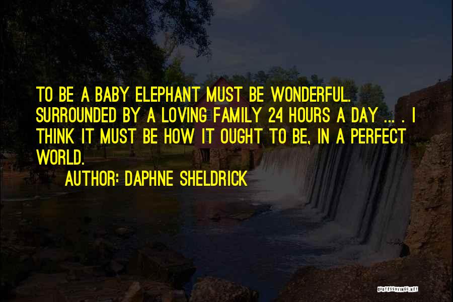 Daphne Sheldrick Quotes 1874096 Daphne Sheldrick Quotes 1874096