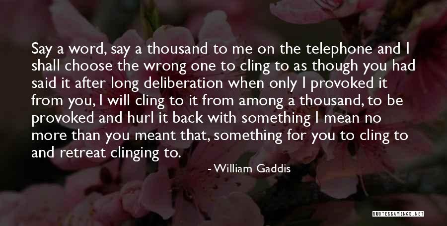 Daphnia Quotes By William Gaddis Daphnia Quotes By William Gaddis