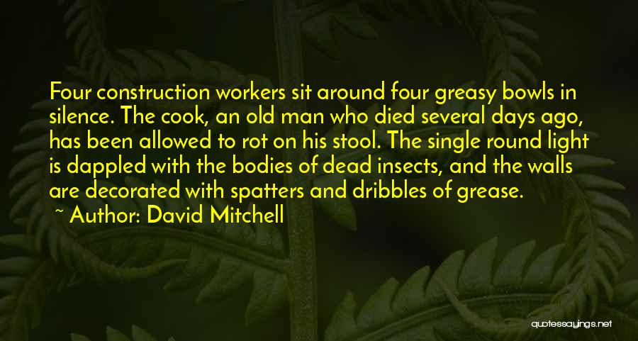 Dappled Light Quotes By David Mitchell