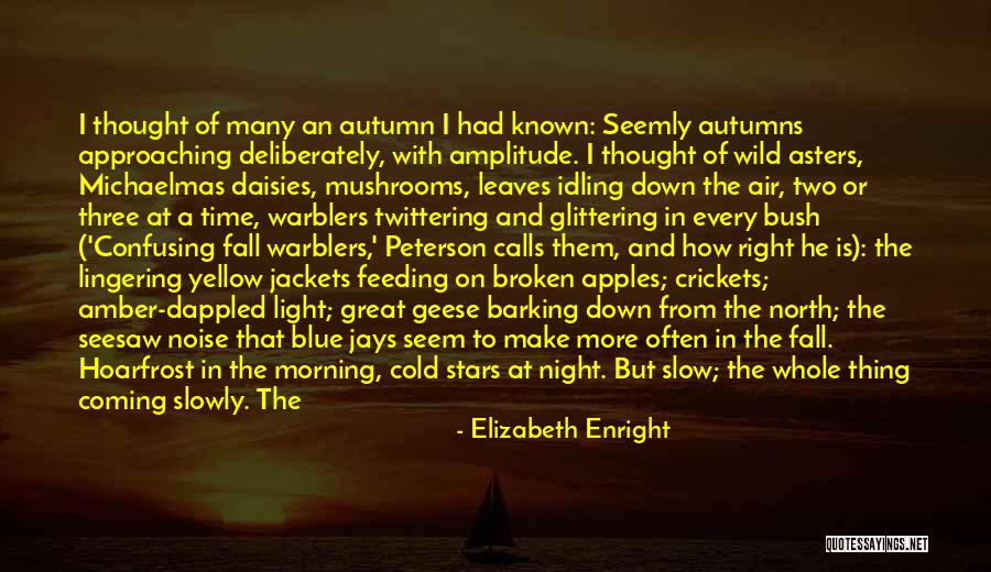 Dappled Light Quotes By Elizabeth Enright