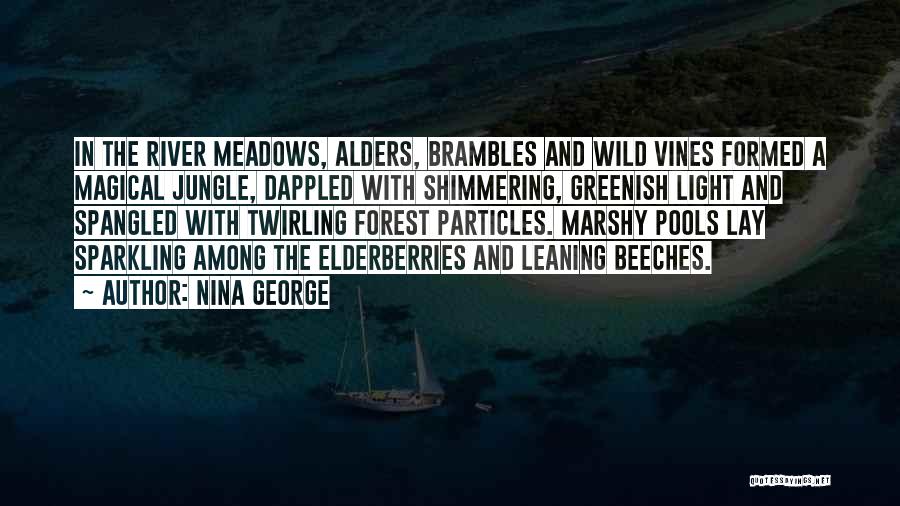 Dappled Light Quotes By Nina George