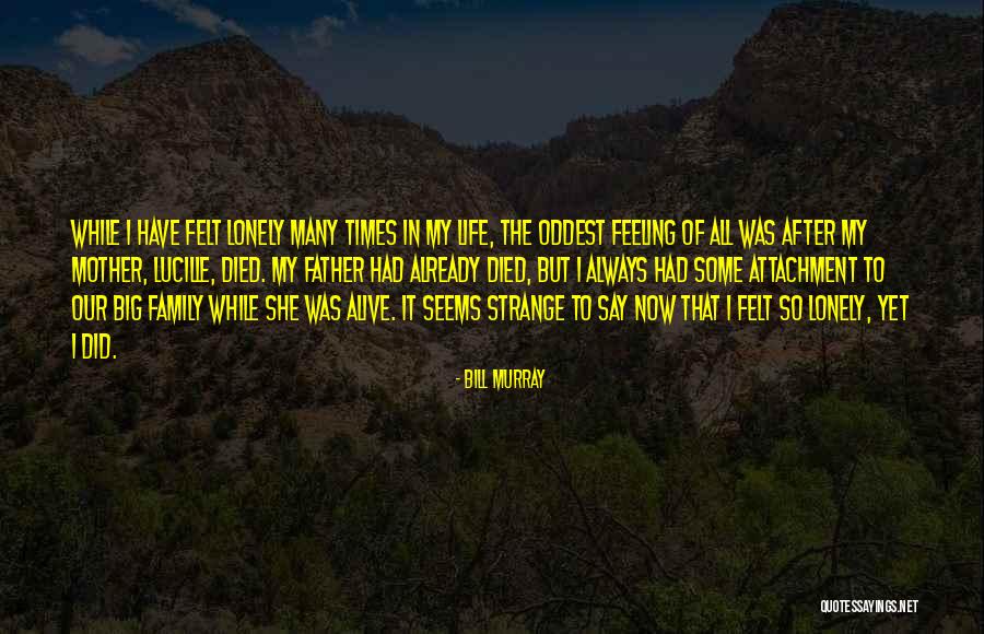 Daquin Sales Quotes By Bill Murray Daquin Sales Quotes By Bill Murray