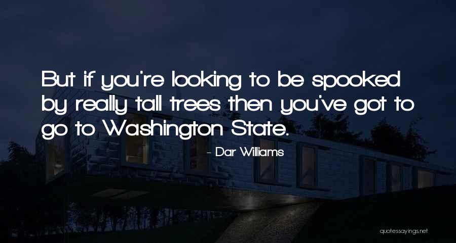 Dar Williams Quotes 363922 Dar Williams Quotes 363922