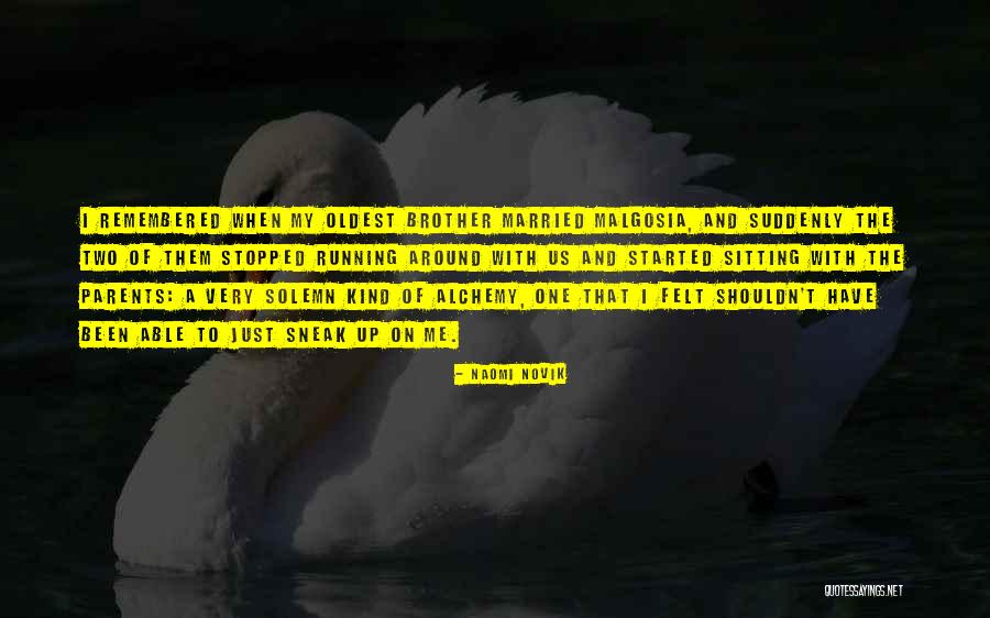 Daradici Pictor Quotes By Naomi Novik Daradici Pictor Quotes By Naomi Novik