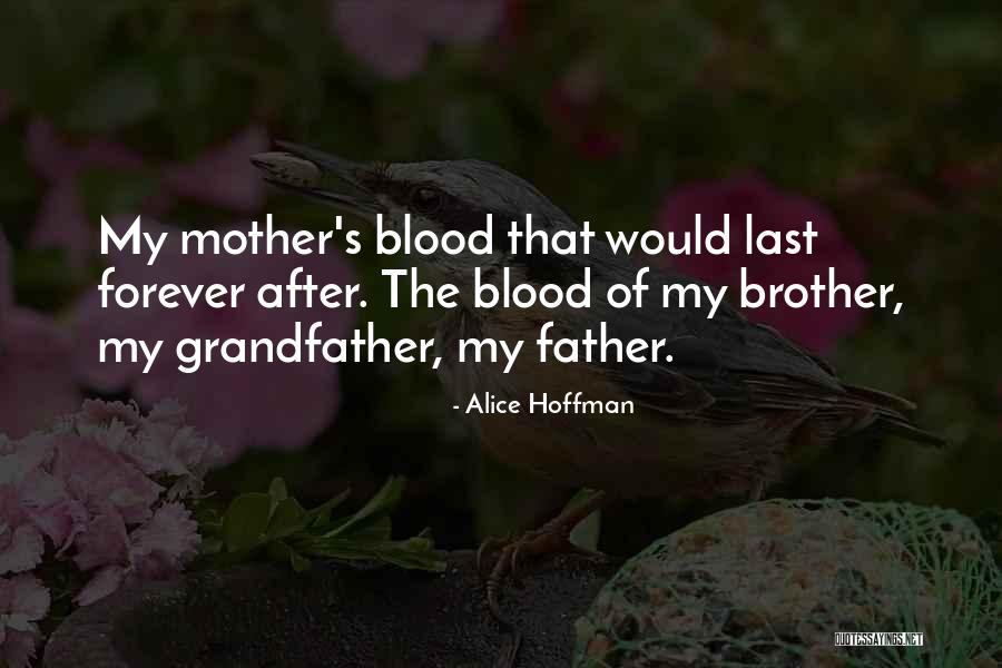 Darae Friends Quotes By Alice Hoffman Darae Friends Quotes By Alice Hoffman