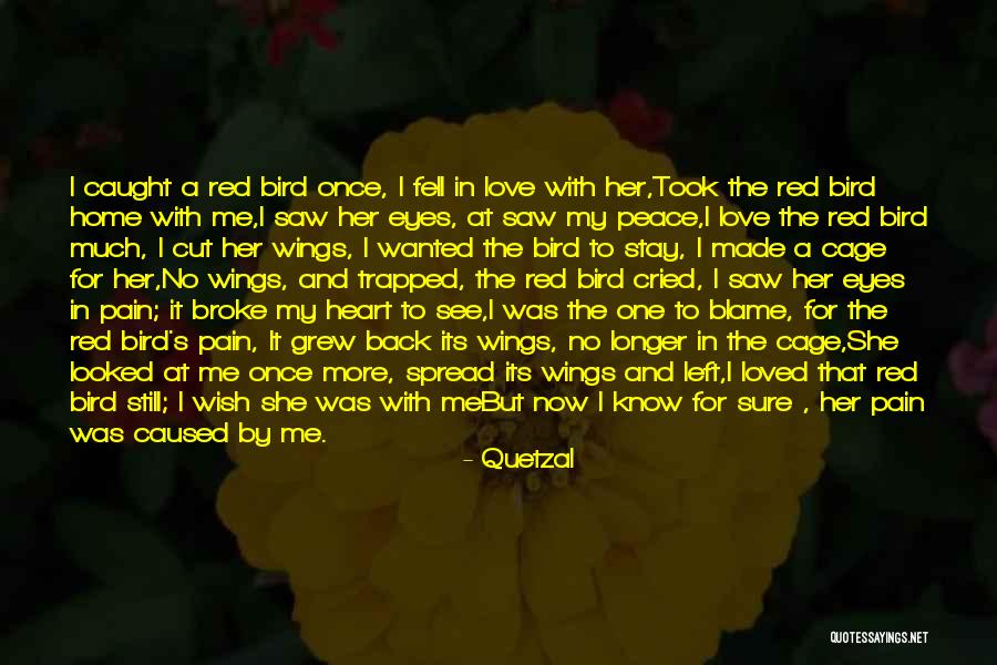 Darakhshan Andrabi Quotes By Quetzal Darakhshan Andrabi Quotes By Quetzal