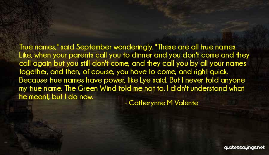 Darakhshan Mir Quotes By Catherynne M Valente Darakhshan Mir Quotes By Catherynne M Valente