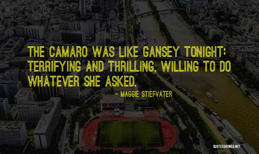Darcys Quotes By Maggie Stiefvater Darcys Quotes By Maggie Stiefvater