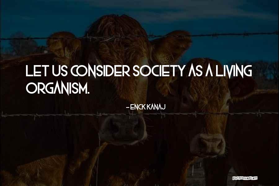 Dardimans Quotes By Enck Kanaj Dardimans Quotes By Enck Kanaj