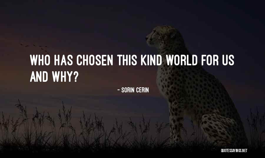 Dardimans Quotes By Sorin Cerin Dardimans Quotes By Sorin Cerin