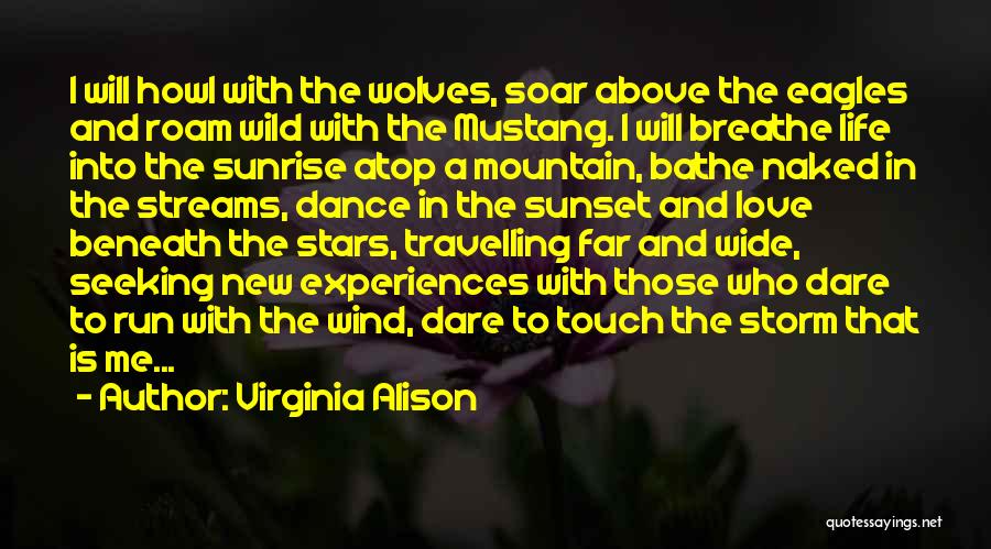Dare To Soar Quotes By Virginia Alison