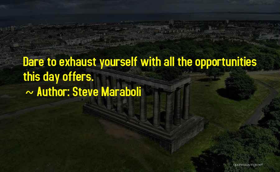 Dare To Success Quotes By Steve Maraboli