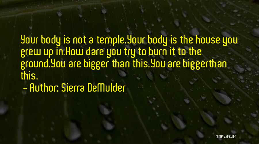 Dare To Try Quotes By Sierra DeMulder