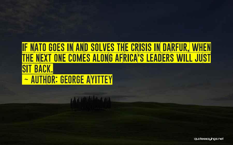 Darfur Quotes By George Ayittey