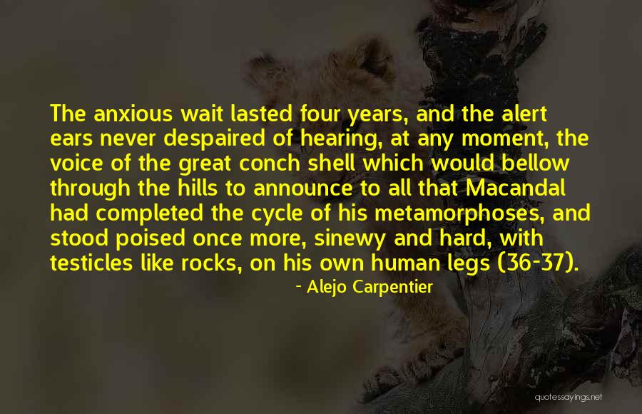 Daria Zaritskaya Quotes By Alejo Carpentier Daria Zaritskaya Quotes By Alejo Carpentier