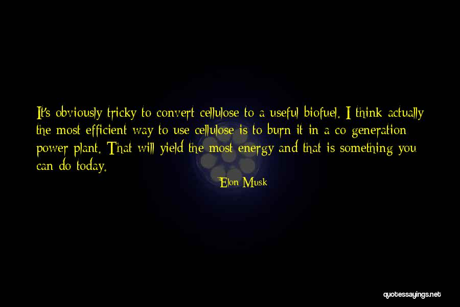 Darin Fox Quotes By Elon Musk