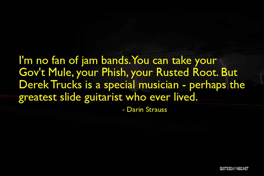 Darin Strauss Quotes 1310553